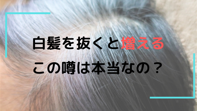 年01月の記事一覧 ジアミンアレルギーの方に正しい事実を ノンジアミンカラーでお悩み解決